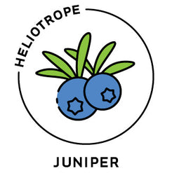 Essential Oil - Juniper-0